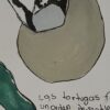 ilustracion de tortugas