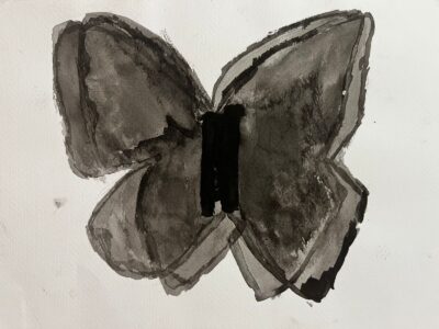 mariposa negra