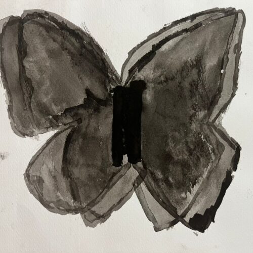 mariposa negra