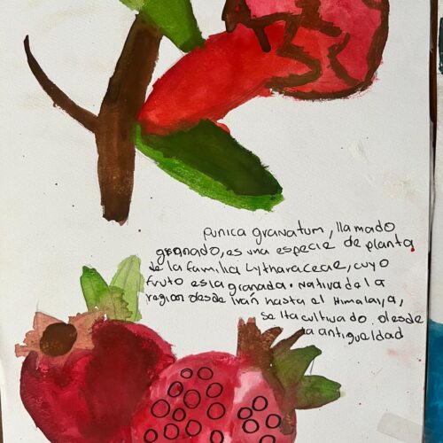 ILUSTRACIÓN DE FRUTA